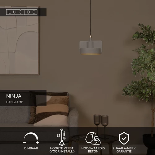 Lucide NINJA - Hanglamp - Ø 20 cm - 1xE27 - Grijs - USP